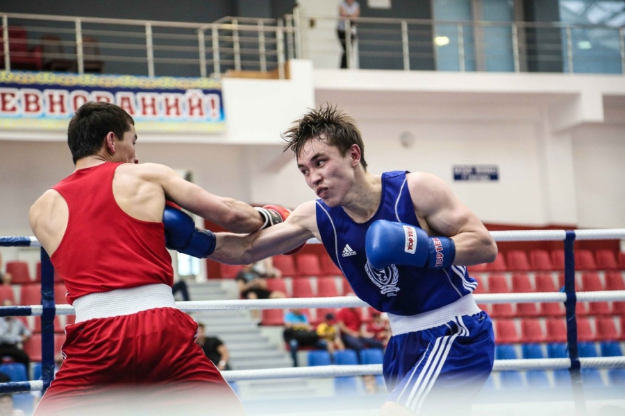 Ел чемпионатының финалына шыққан боксшылар белгілі болды