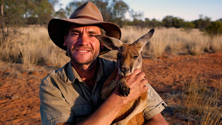 Аустралиялық кенгуру асыраушы BBC кейіпкеріне айналды 