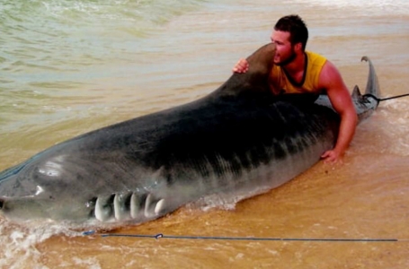 Аустралиялық жігіт акуламен айқасты 