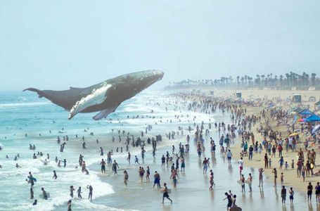 Еденнен кит шығуы мүмкін бе? (Видео) 