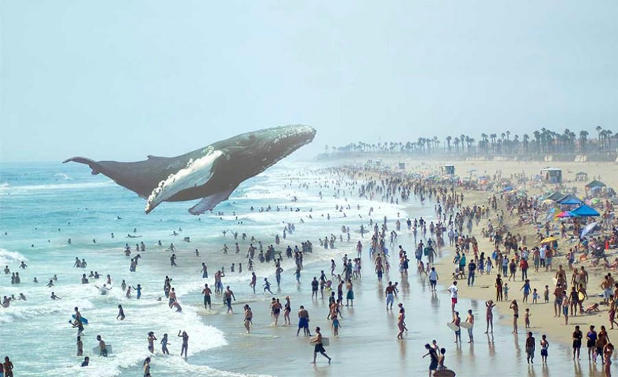 Еденнен кит шығуы мүмкін бе? (Видео) 