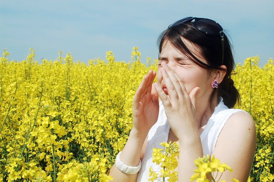 Аллергия — иммунды жүйенің дабылы