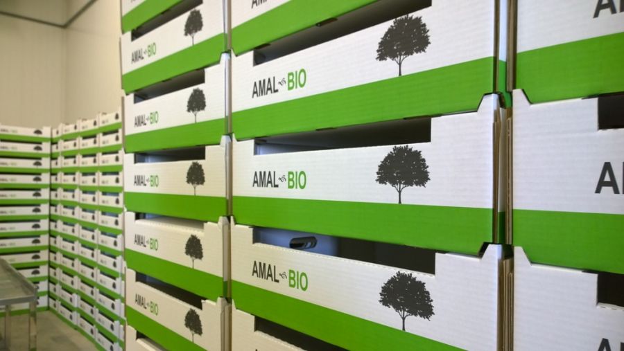 AMAL-BIO агроном мамандарын жұмысқа шақырады