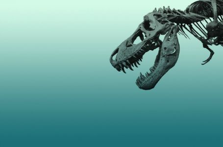 Жер бетінде динозаврлардың қанша түрі болған?