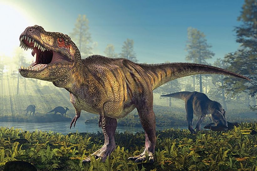 Қытайда 145 млн жыл бұрынғы динозаврлардың ізі табылды 