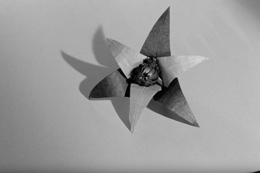 Үшеуге үміт сыйлаған оригами