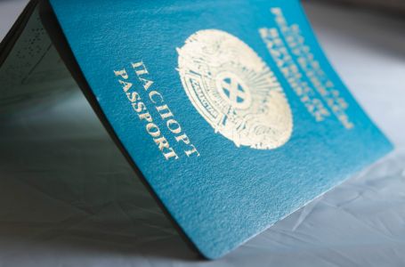 Әлемдік паспорт неліктен 4 түсті болады?