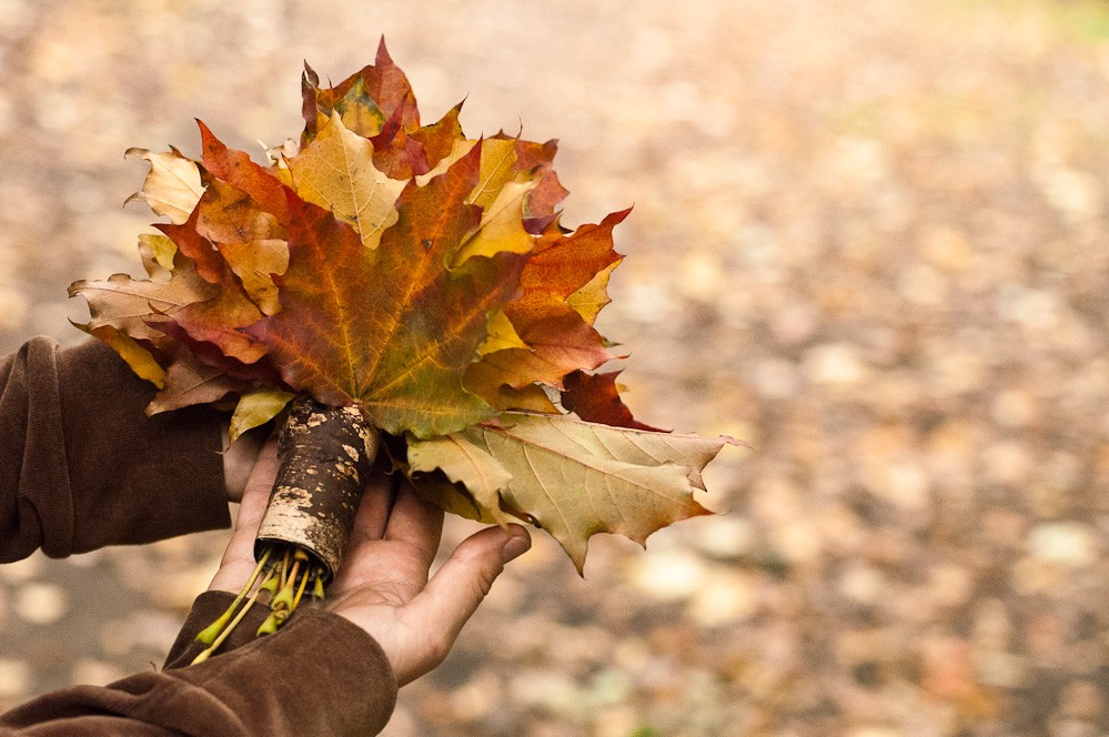 Сайты куз. Осень листья рассылает. Куз керемети. Лист осень депрессия. Осень • листья • азиатка.