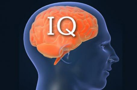 IQ немесе зияткерлік өлшемі қандай?