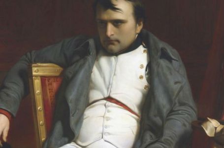 Наполеон IQ жайлы қайдан білген?