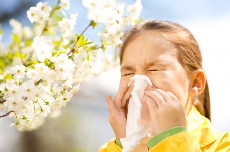 Поллиноз: маусымдық аллергиямен қалай күресуге болады?