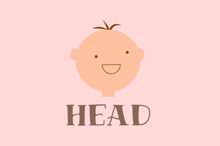 English Lessons: "head" сөзімен байланысты тұрақты тіркестер 