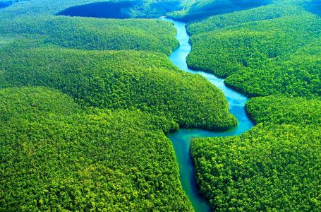 Жер ғаламшарының өкпесі: Амазония өртке оранды