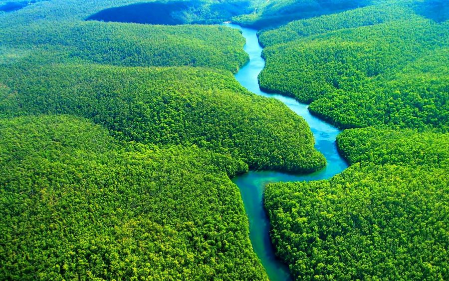 Жер ғаламшарының өкпесі: Амазония өртке оранды