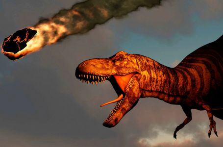 Динозаврлар жойылуының себебі астероид емес 