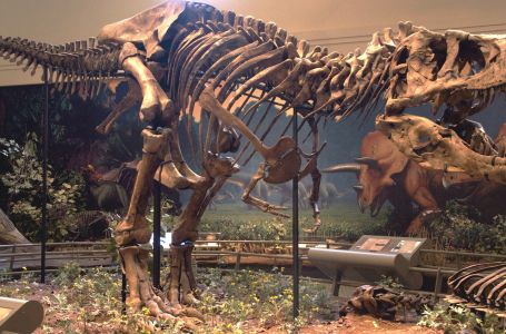 Тираннозавр қаңқасы 31,8 миллион долларға сатылды