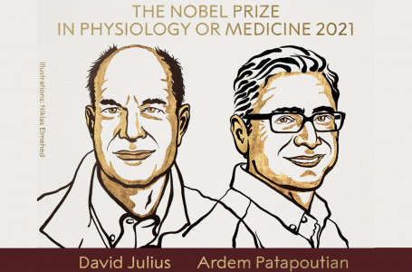 Медицина саласындағы Нобель сыйлығының лауреаттары белгілі болды