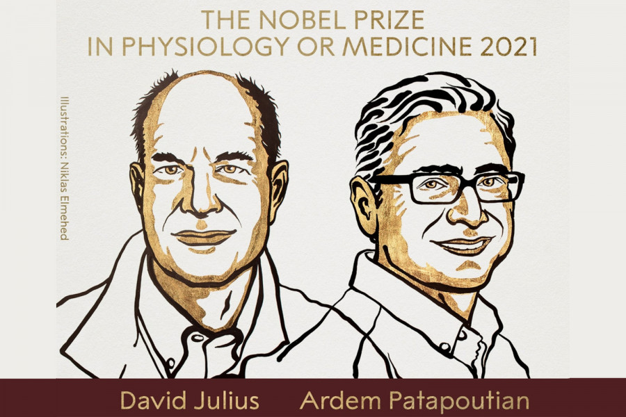 Медицина саласындағы Нобель сыйлығының лауреаттары белгілі болды