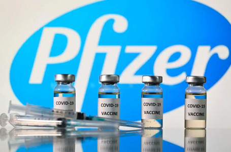Алматыда Pfizer вакцинасын ақылы түрде егу қашан басталады?