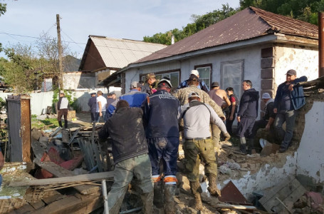 Текелідегі лай көшкіні: қаза тапқан қыздың отбасына екі бөлмелі пәтер берілді