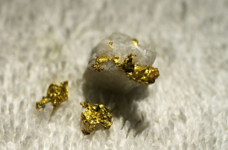 Ақмола облысында алтын өндіретін жасырын цех анықталды