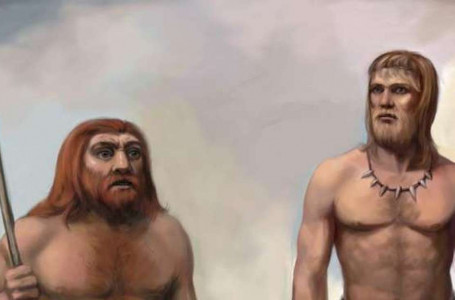 Адамда неандертальдықтың ДНҚ-сы бар: медицина саласы бойынша Нобель сыйлығы не үшін берілді