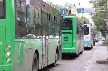 Автобус жүргізушісінің жеке нөміріне жолақысын төлеу қаншалықты заңды?  Ең өзекті сұрақтарға жауап берілді