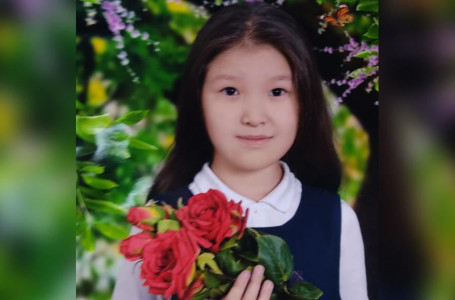 Алматыда 9 жастағы мектеп оқушысы жоғалып кетті