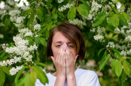 Көктемгі аллергия: Білу керек 15 кеңес