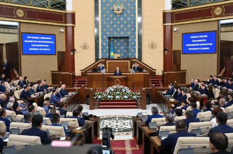 Қарин Тоқаевтың Парламентте сөйлеген сөзінің негізгі тұстарына тоқталды