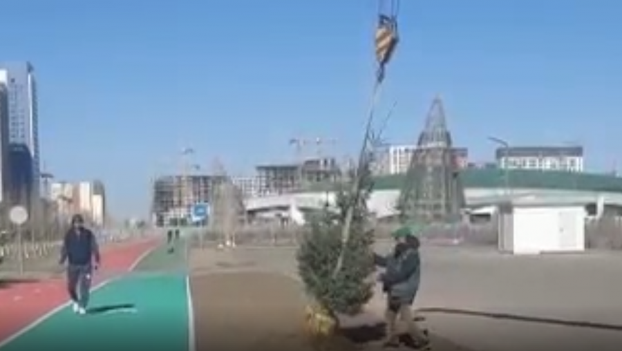 "Көзбояу!" Астанада Әзербайжан президенті кеткеннен кейін шыршалар қазып алынған 