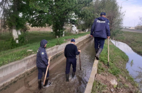 Түркістан облысында 11-сынып оқушысы адам өлтірді деген күдікпен қамауға алынды