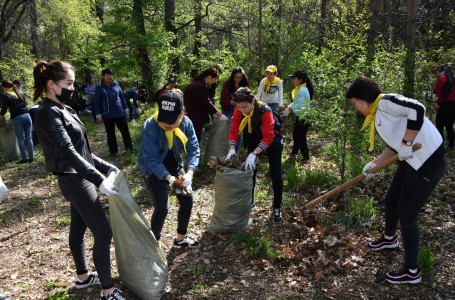 Almaty Clean & Green жалпықалалық сенбілік аясында бес мыңға жуық ағаш отырғызылады