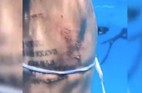 Акула туристі тістеп алған - видео