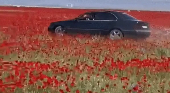 "Қалағанымды істеймін". BMW жүргізушісі Алматы маңындағы көкнәр алқабында дрифт жасаған