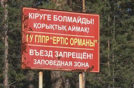 Павлодардағы "Ертіс орманы" резерваты өртке дайын ба?