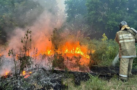 Абай облысындағы өрт кезінде ерлігі мен жанқиярлығы үшін бірнеше адам марапатталды