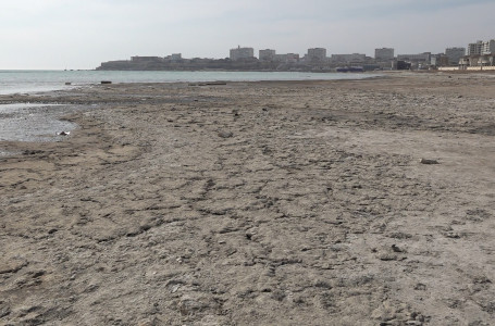 "Өте қорқынышты". Экологтар Каспий теңізінің қазіргі жағдайына баға берді