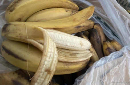 Атыраулық оқушы банан қалдықтарынан қағаз жасап шығарды