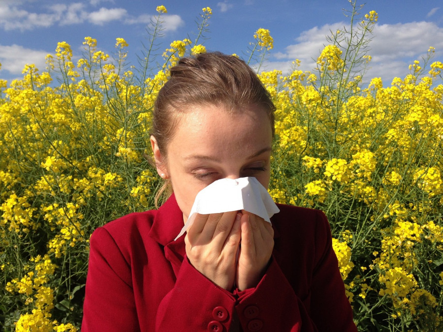 Біле жүріңіз: Ғалымдар аллергия тудыратын өсімдіктер тізімін атады