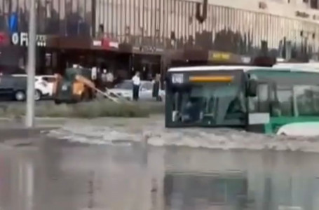 Астанада автобустар "жүзіп жүр": Elorda eco system директоры қызметінен босатылды