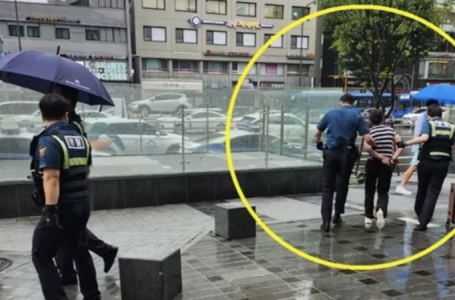 Кореяда қазақстандық әйел автобус жүргізушісіне пышақпен шабуыл жасады - БАҚ