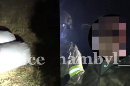 Жамбыл облысында қызметтік ит ер адамды есірткі дайындап жатқан жерінен тауып алды
