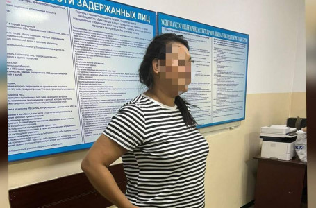 Алматылық өзін құқық қорғау органы қызметкері ретінде таныстырып, тұрғындарды алдап кеткен