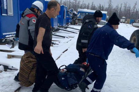 "Жағдайы ауыр". Кен орнында аю жұмысшыларға шабуыл жасады