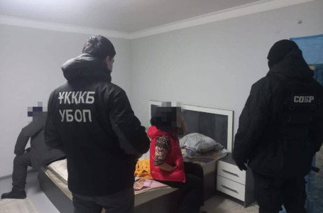 9 қыз полицияға жеткізілген: Шымкент-Ташкент тасжолындағы саунада интим қызмет көрсетілген