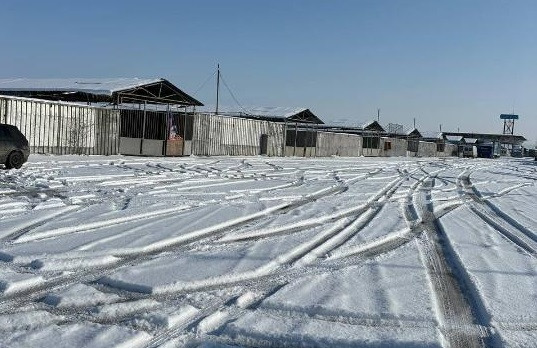 Болат Назарбаевқа тиесілі болған Қордай ауданындағы жерлер мемлекетке қайтарылды