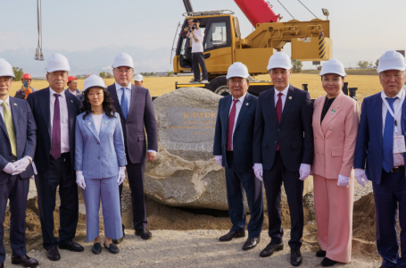 Купеде порно онлайн