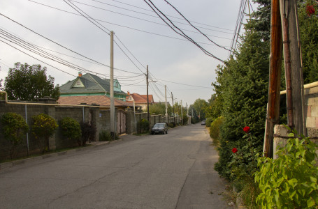 Алматыдағы бір көшеге Денис Теннің есімі беріледі