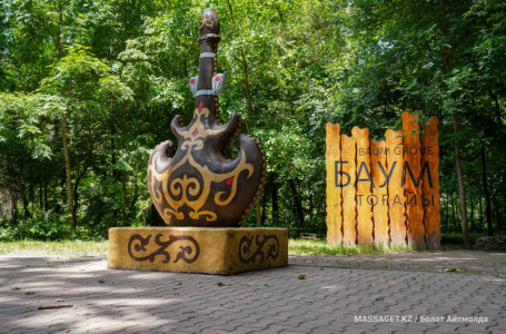 Алматы әкімдігі “Баум тоғайында ағаштар кесіледі“ деген ақпаратқа жауап берді